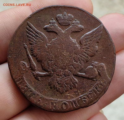 5 копеек 1760 до 29.12.25 г. до 22-00 МСК - IMG_20251228_1033491