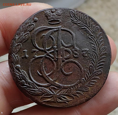 5 копеек 1787 ЕМ до 29.12.25 г. до 22-00 МСК - IMG_20251228_104137