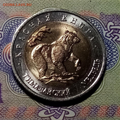 К.К. 50 руб 1993 г ( комплект-5 монет) до 29.12 - медв