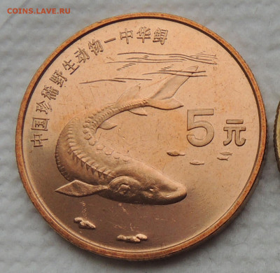 Китай 5 юань 1999 до 4.01.2026 - Китай 5 юань 99.JPG