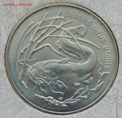 Оценка коллекции 260 юбилейных Польских монет 2 злотых - DSCN6280.JPG