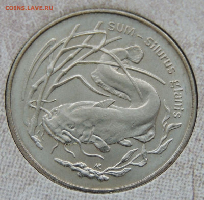 Оценка коллекции 260 юбилейных Польских монет 2 злотых - DSCN6281.JPG