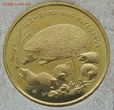 Оценка коллекции 260 юбилейных Польских монет 2 злотых - DSCN6290.JPG