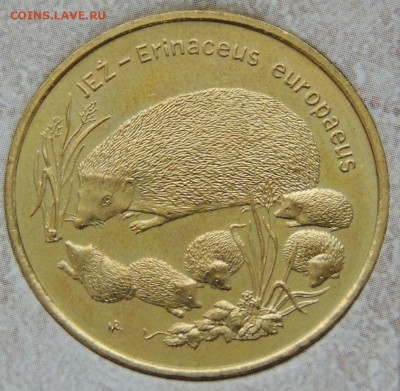 Оценка коллекции 260 юбилейных Польских монет 2 злотых - DSCN6291.JPG