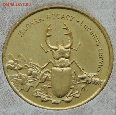 Оценка коллекции 260 юбилейных Польских монет 2 злотых - DSCN6299.JPG