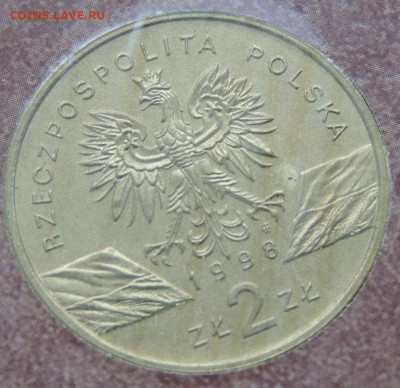 Оценка коллекции 260 юбилейных Польских монет 2 злотых - 17.JPG