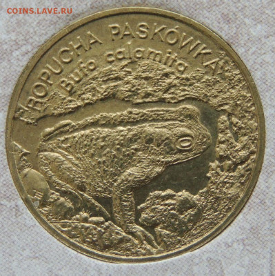 Оценка коллекции 260 юбилейных Польских монет 2 злотых - DSCN6308.JPG