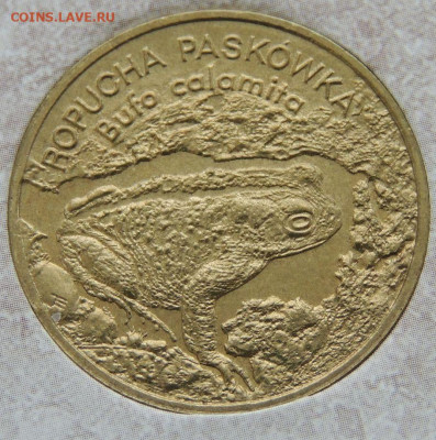 Оценка коллекции 260 юбилейных Польских монет 2 злотых - DSCN6309.JPG