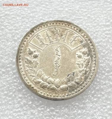 1 тугрик 1925 Монголия - IMG_9462