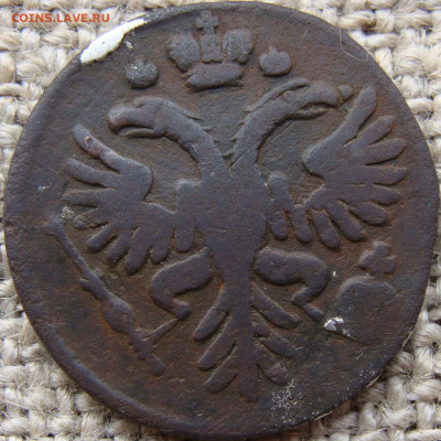Денга 1730 год Гладкий гурт - 1580-1+.JPG