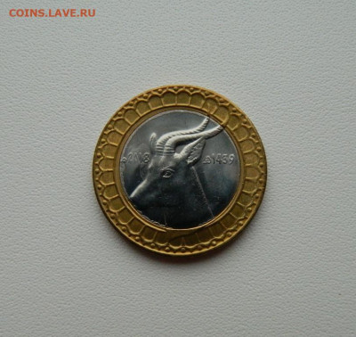 Алжир 50 динар 2018 г. (Фауна) БИМ С Рубля! до 06.01.26 - DSCN9929.JPG