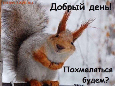 делает - прямо сейчас !!! - Белка-2