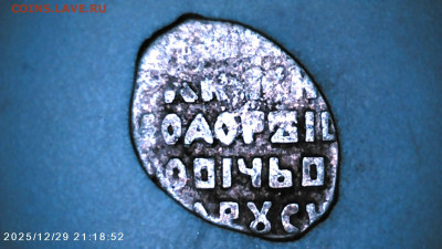 Чешуя на определение. - IMG00098