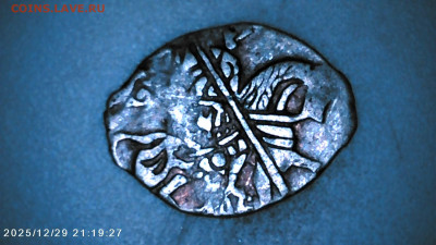 Чешуя на определение. - IMG00100