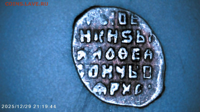 Чешуя на определение. - IMG00101