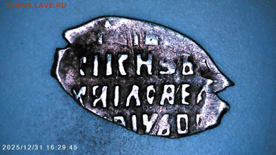 Чешуя на определение. - IMG00102