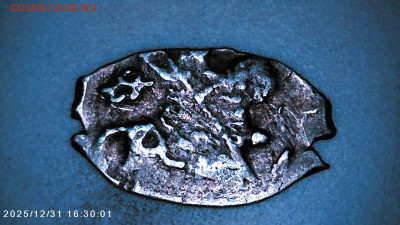 Чешуя на определение. - IMG00103