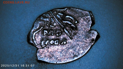 Чешуя на определение. - IMG00104