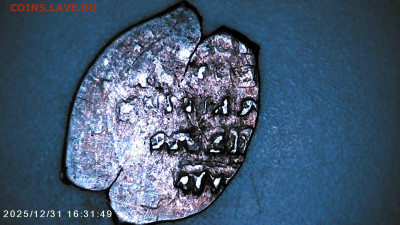 Чешуя на определение. - IMG00105