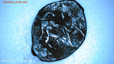 Чешуя на определение. - IMG00107