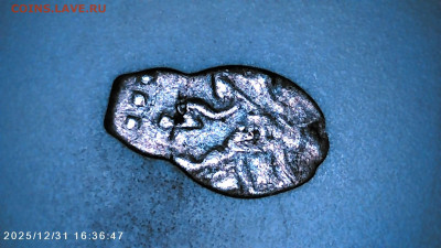 Чешуя на определение. - IMG00109