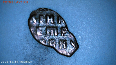 Чешуя на определение. - IMG00108