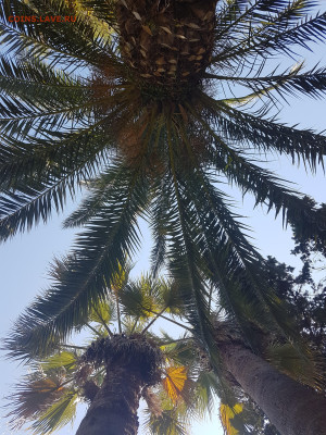 делает - прямо сейчас !!! - 20250725_143539