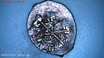 Чешуя на определение. - IMG00111