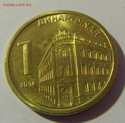 1 динар 2014 Сербия №1 08.01.26 22:00 М - CIMG8577.JPG