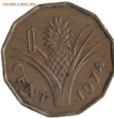 Удивительный король - 1