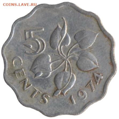 Удивительный король - 5