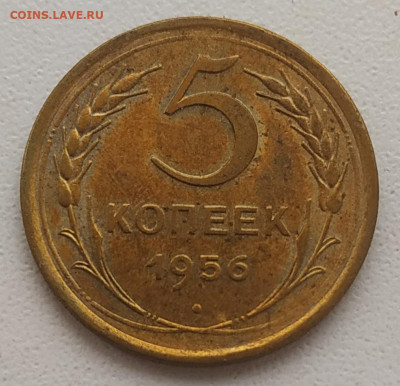 5 копеек 1956 отличный до 05.01.26 - IMG_20260102_190955