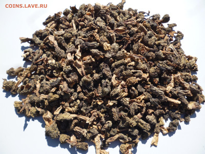 СУШЕНЫЕ СМОРЧКИ,весна 2024г. - 1.JPG