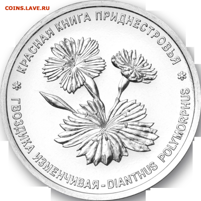 Приднестровье. - 1_rub_dianthus_polymorphus_2026