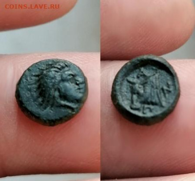 Действительно ли редкий Манетос??? - IMG_20251225_143139555copy copy