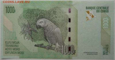 Конго 1000 франков 2003 г. до 10.01.26 - DSCN9558.JPG