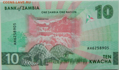 Замбия 10 квача 2024 г. до 10.01.26 - DSCN9309.JPG