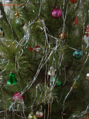 какая у вас ёлка будет на Новый  Год ??? - DSC09061.JPG