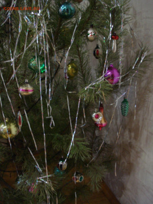 какая у вас ёлка будет на Новый  Год ??? - DSC09059.JPG