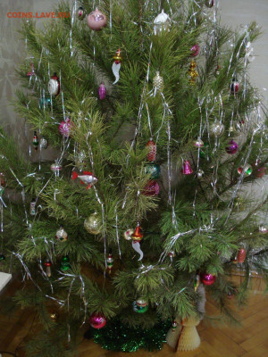 какая у вас ёлка будет на Новый  Год ??? - DSC09055.JPG