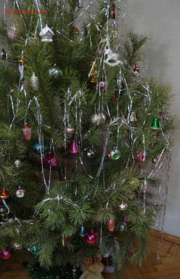 какая у вас ёлка будет на Новый  Год ??? - DSC09051.JPG