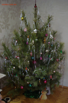 какая у вас ёлка будет на Новый  Год ??? - DSC09049.JPG