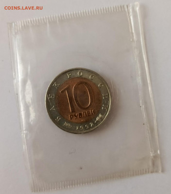 КК краснозобая казарка . Запайка до 11.01 - IMG_20260104_124657_600