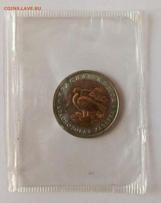 КК краснозобая казарка . Запайка до 11.01 - IMG_20260104_124753_974