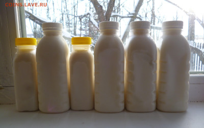 БАРСУЧИЙ ЖИР ОТ ОХОТНИКА,осень 2025г - P1850937.JPG