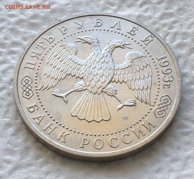 5р 1993г Сергиев Посад 11.1.26 22.00МСК. - IMG_8193