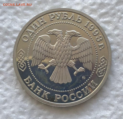 1р 1993г Бородин 11.1.26 22.00 МСК . - IMG_8220