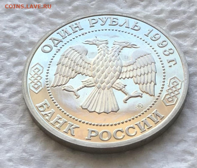 1р 1993г Бородин 11.1.26 22.00 МСК . - IMG_8221