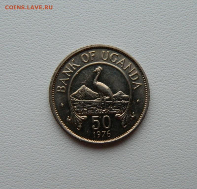 Уганда 50 центов 1976 г. (Фауна) С рубля!  до 12.01.26 - DSCN0364.JPG