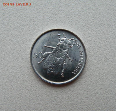 Словения 50 стотинов 1995 г. (Фауна) С рубля! до 12.01.26 - DSCN0348.JPG